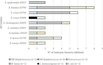 Detection of antimicrobial producing Staphylococcus from migratory birds: Potential role in nasotracheal microbiota modulation